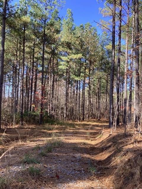 Lewis Ford Road (Lot 8), Brookneal, VA 24528 - photo 6