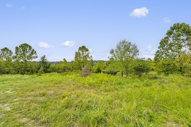 Tbd State Hwy F, Branson, MO 65616 | MLS# 60253247 | Homes.com