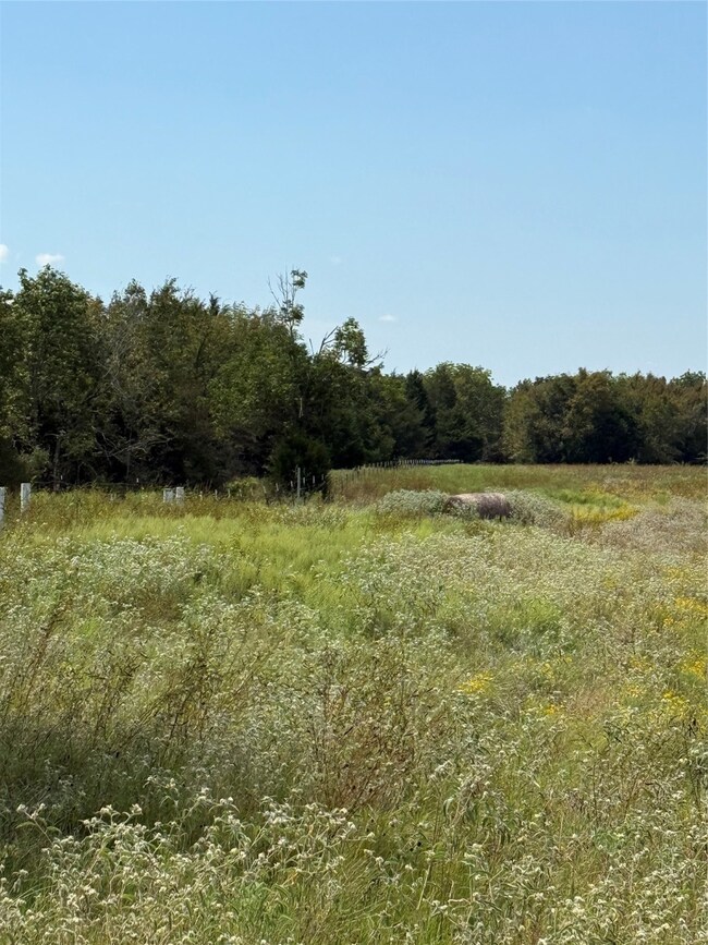 FCR 181 Streetman, Streetman, TX 75859 - photo 7