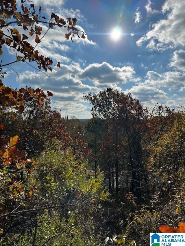 121 Crest Dr, Chelsea, AL 35043 - photo 4