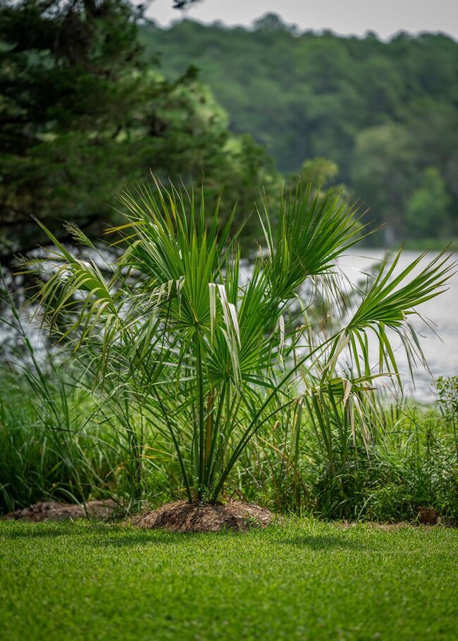 14264 Dogwood Ln, Belle Haven, VA 23306 - photo 4