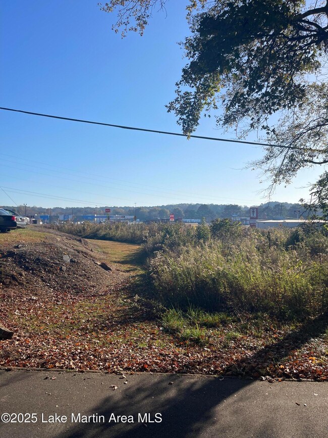 unlisted-address, Alexander City, AL 35010 - photo 5