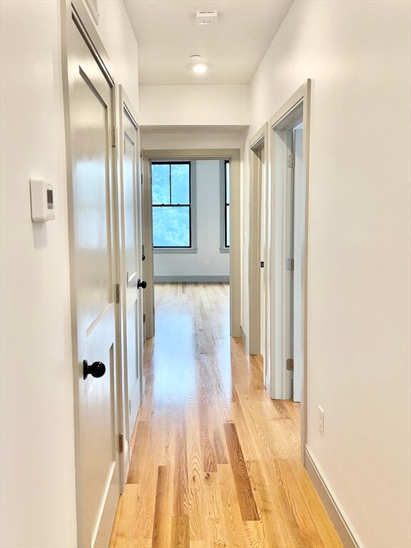 15 Maywood St unit 1, Boston, MA 02119 - photo 6