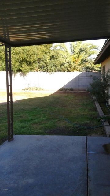 back yard pat
