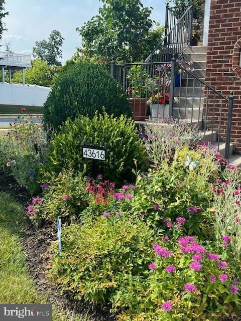 43616 White Cap Terrace, Chantilly, VA 20152 - photo 5