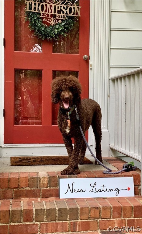 Hazel Said, 