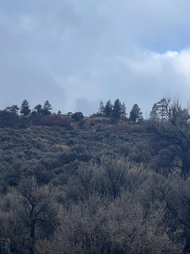 232 0, Fort Garland, CO 81133 - photo 5