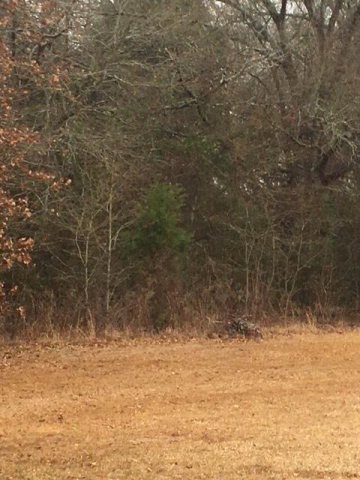 TBD Cr 1316, Malakoff, TX 75148 - photo 6