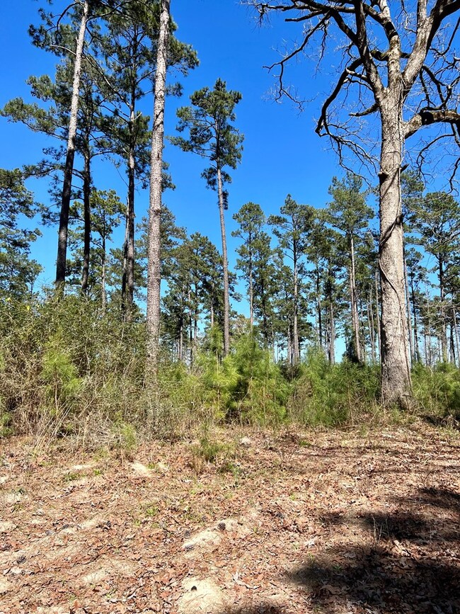 TBD Borrego Spring Rd, Nacogdoches, TX 75964 - photo 6