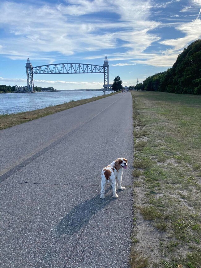 5C Wildwood Ln, Sagamore Beach, MA 02562 - photo 7