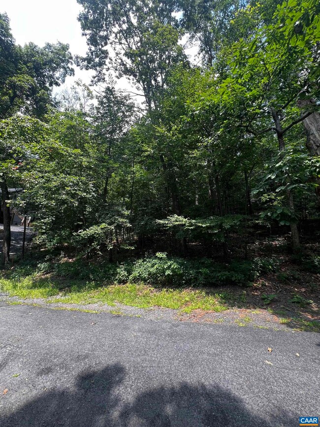 TBD Weeping Rock Ln, Wintergreen Resort, VA 22967 - photo 2