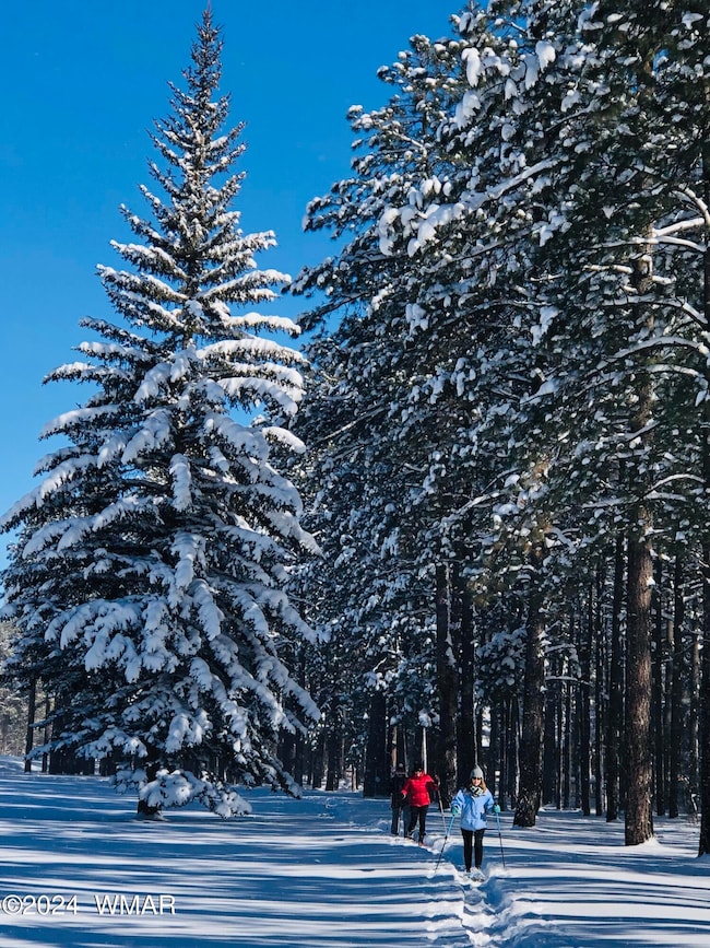 Winter Wonderland