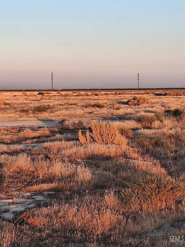 0 Pond Rd unit 202500837, Wasco, CA 93280 - photo 2