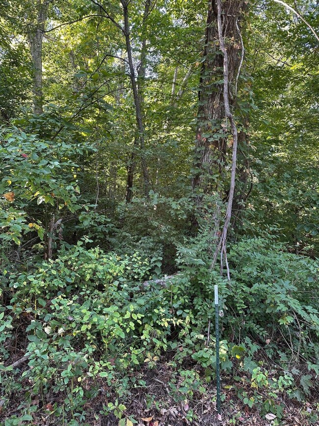 00 E Division Rd, La Porte, IN 46350 - photo 5