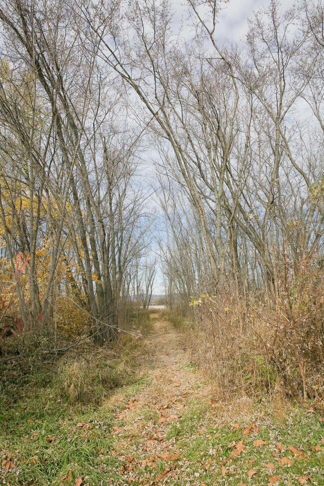 50 Chestnut St, Muncy, PA 17756 - photo 6