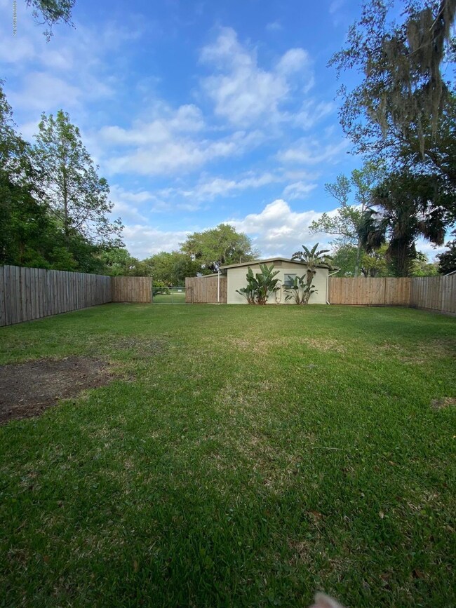 Back Yard 4