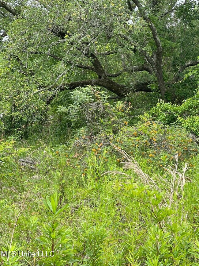 image3 (28)