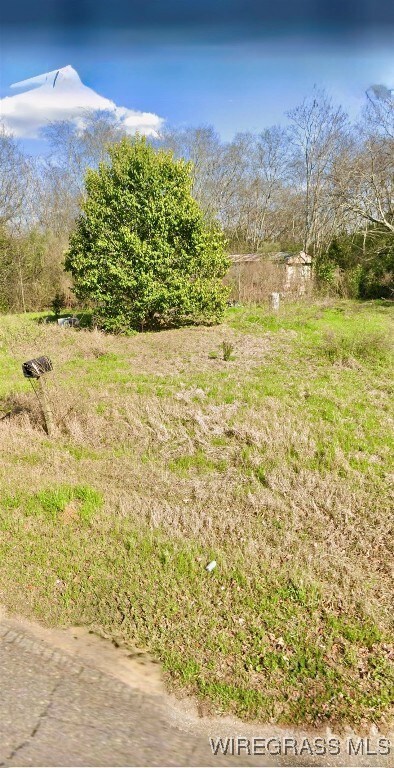 1040 County Road 665, Chancellor, AL 36316 - photo 5