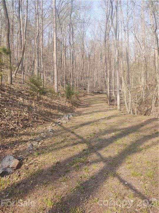 0 River Crest Pkwy unit 25538697, Rutherfordton, NC 28139 - photo 5