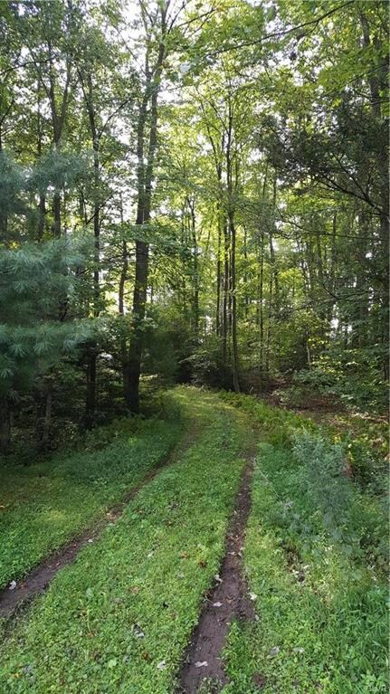 0 Hillside Ln, New Ringgold, PA 17960 - photo 3