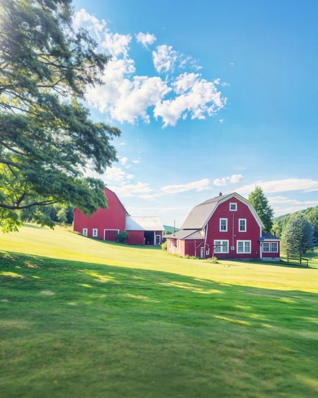 Summer lawn