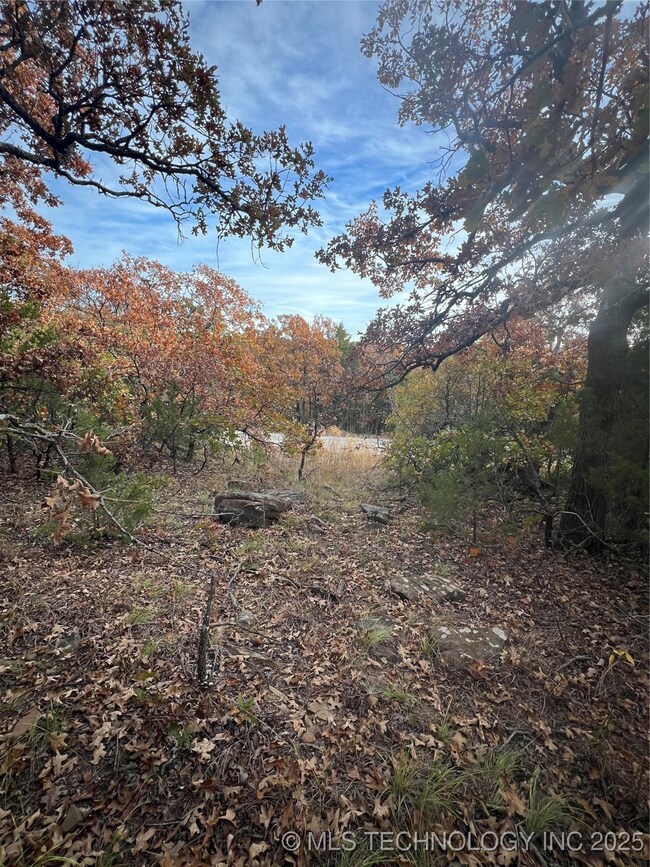 0047 Van Gogh Rd, Sand Springs, OK 74063 - photo 6