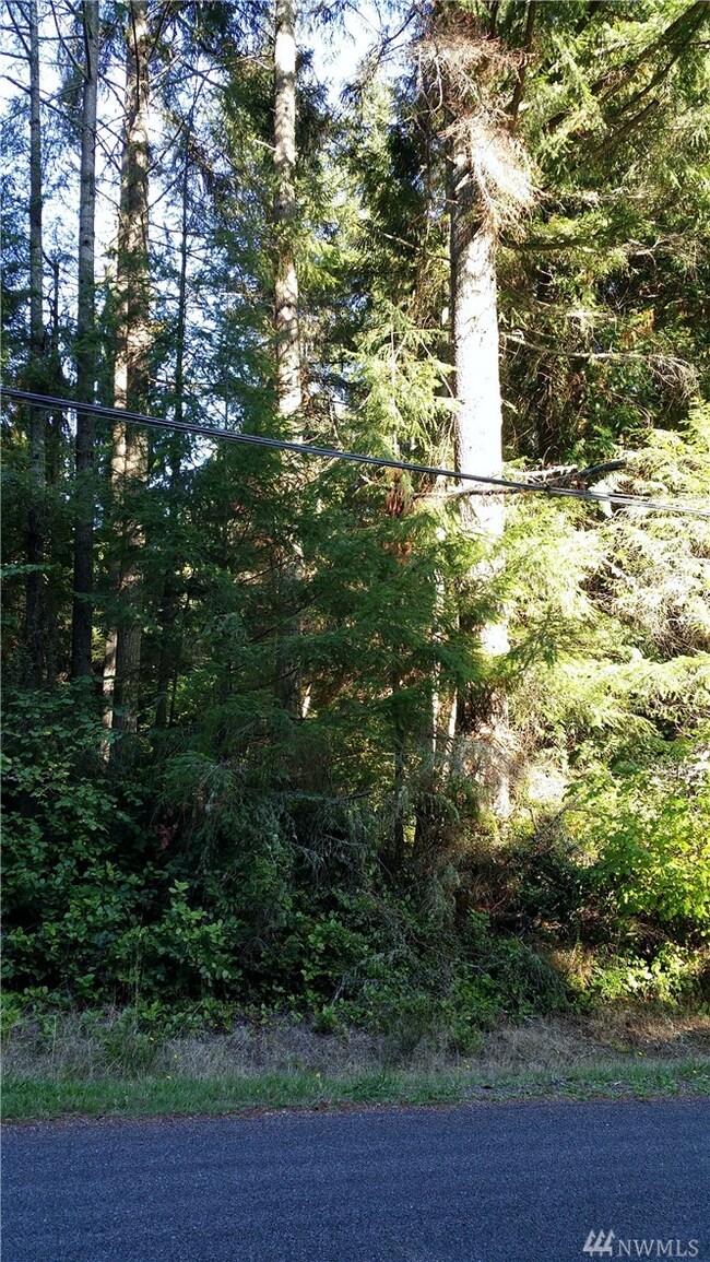 10807 Riviera Dr unit AI, Anderson Island, WA 98303 - photo 4