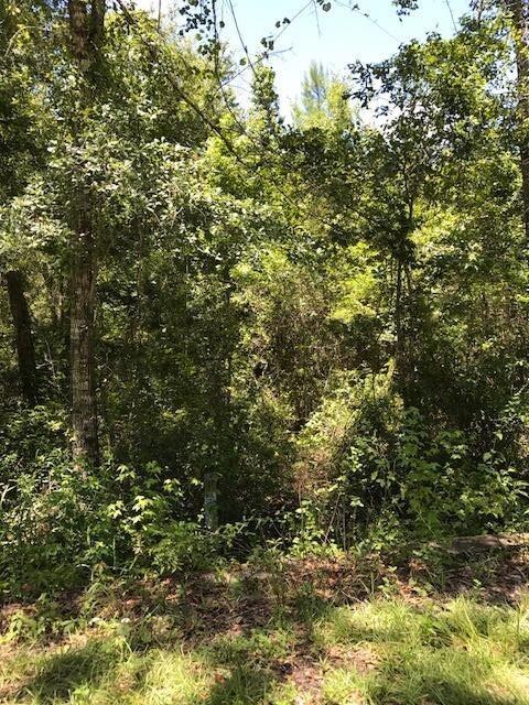0 Mill Creek Rd, Crawfordville, FL 32327 - photo 7