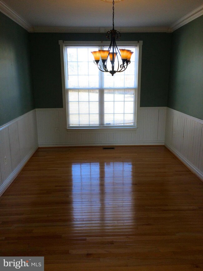 11203 Hollins Ct, Fredericksburg, VA 22407 - photo 5