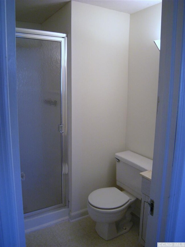 476 Cold Spring Rd unit 486, Stanfordville, NY 12581 - photo 3