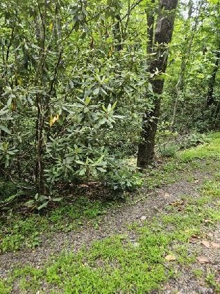 Lot E24 Otter Creek Trail, Fancy Gap, VA 24328 - photo 2