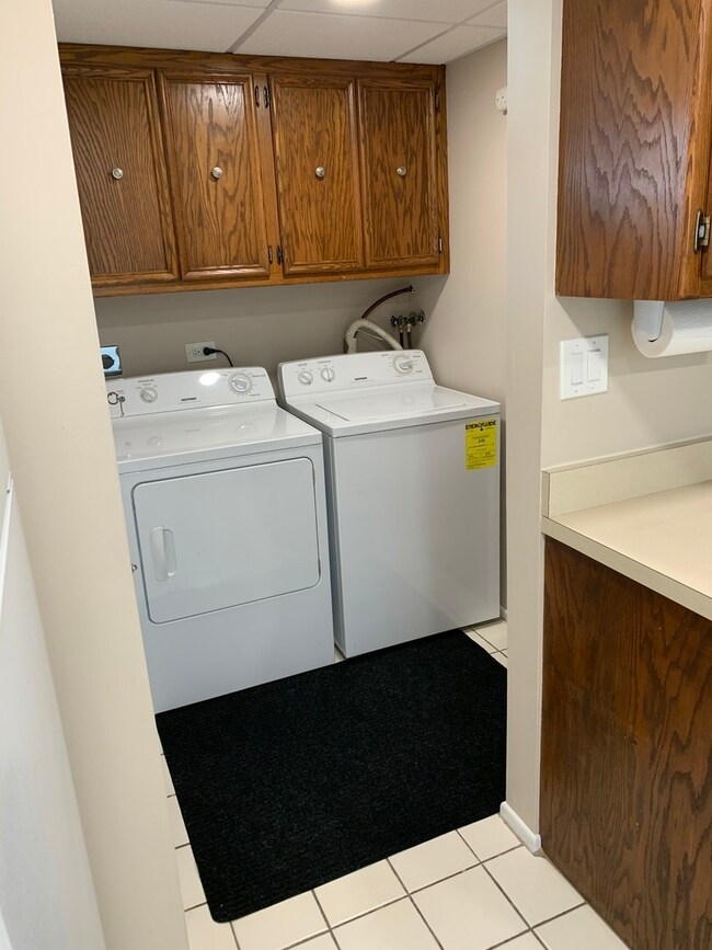 271 W 1st St unit 2A, Elmhurst, IL 60126 - photo 6