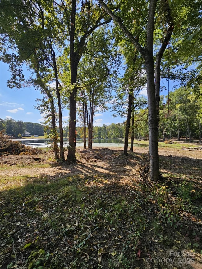 210 Fancy Lady Ct, York, SC 29745 - photo 2