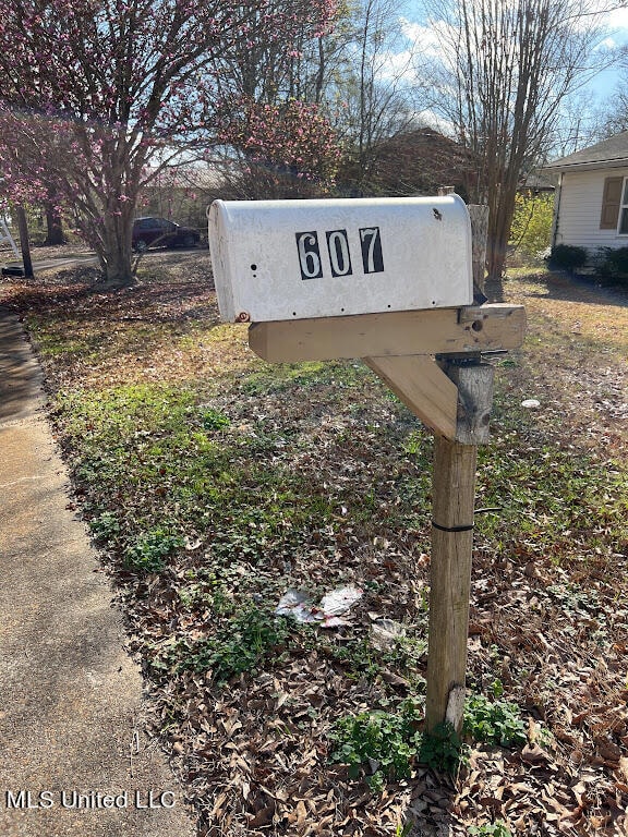 Address Verification (Mailbox or House N