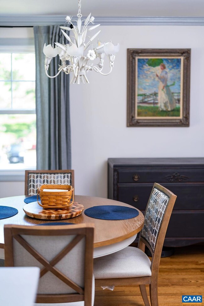 10 Deer Path, Charlottesville, VA 22903 - photo 5