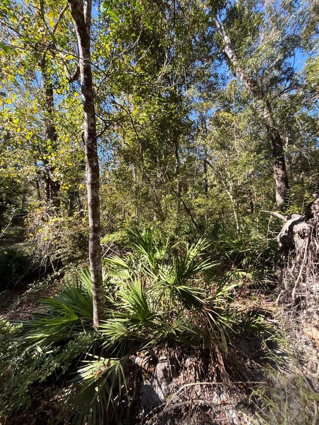 Lot 3 SE 843rd St, Old Town, FL 32680 - photo 7