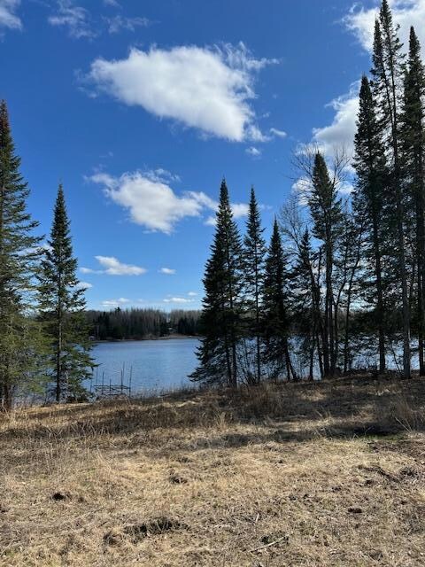 7285 W Leavitt Rd NE, Outing, MN 56662 - photo 2