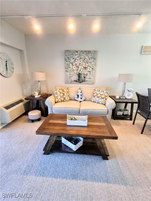 Living area featuring rail lighting and carpet floors