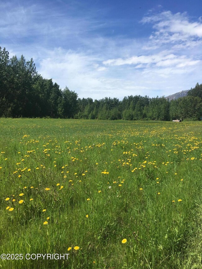 24220 E Bannon Way, Sutton-Alpine, AK 99674 - photo 7