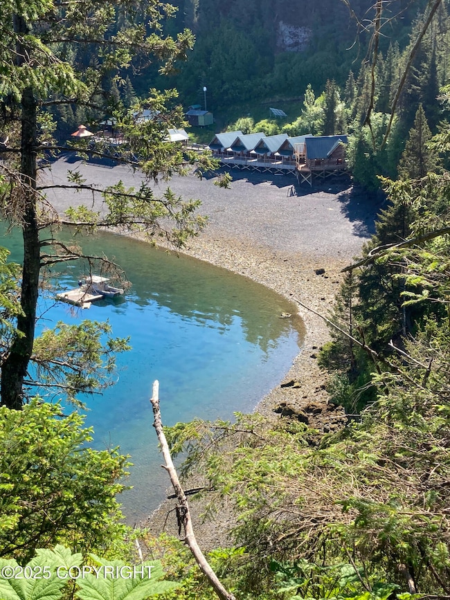 50815 Halibut Cove Rem SW, Homer, AK 99603 - photo 4