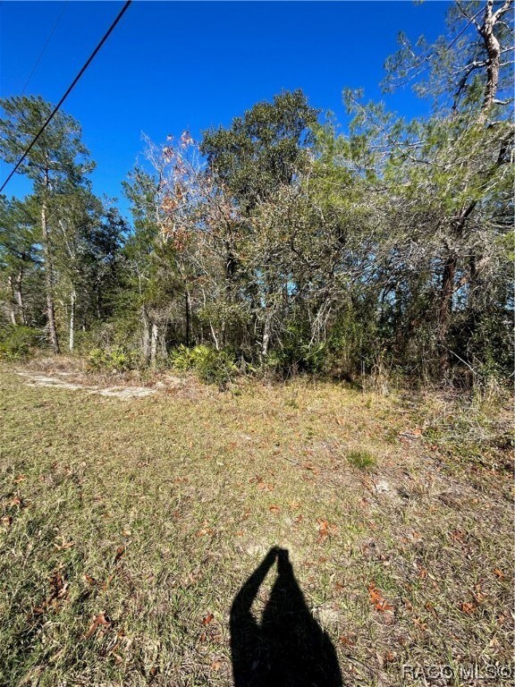 6883 W Merrivale Ln, Homosassa, FL 34446 - photo 5