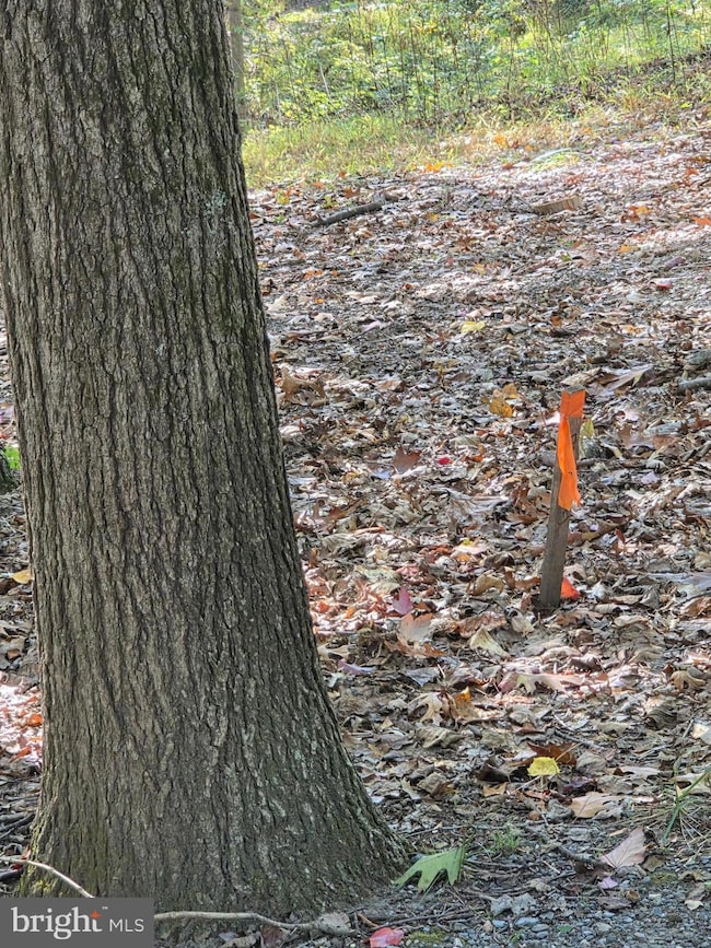 3816 A Jim Smith Ln, New Windsor, MD 21776 - photo 5