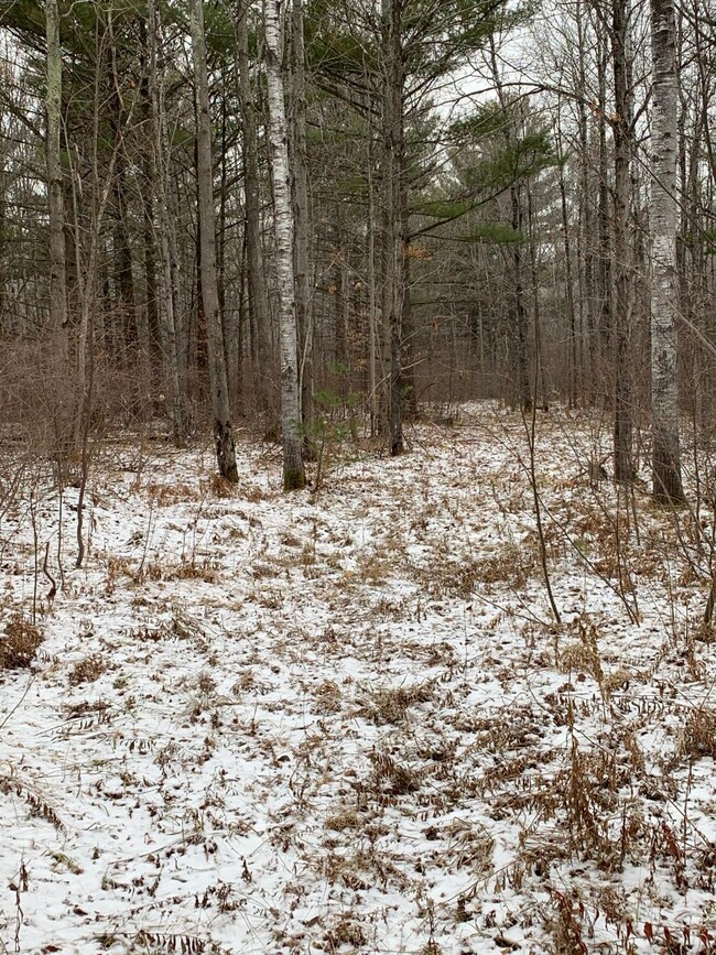 155 acre Hwy 86, Tomahawk, WI 54487 - photo 2