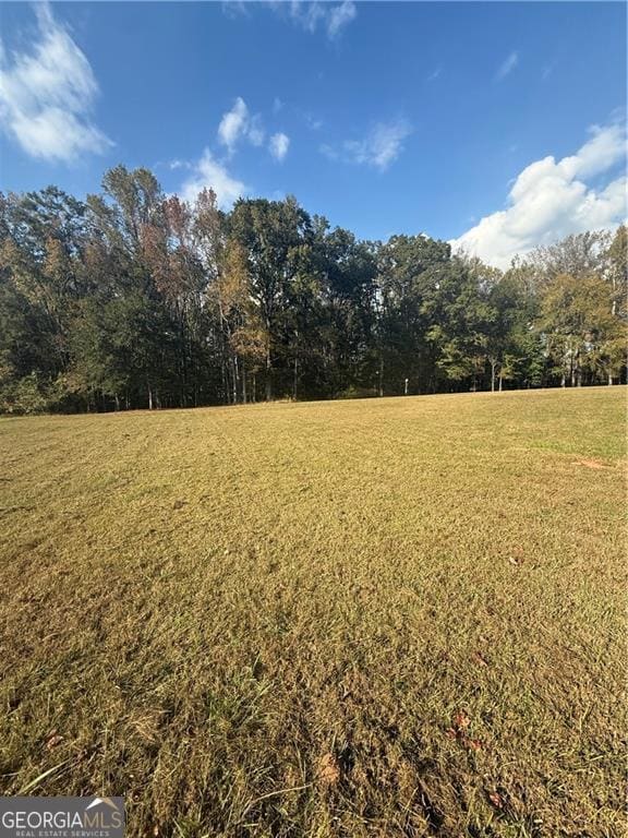 230 River Meadow Ln, Social Circle, GA 30025 - photo 3