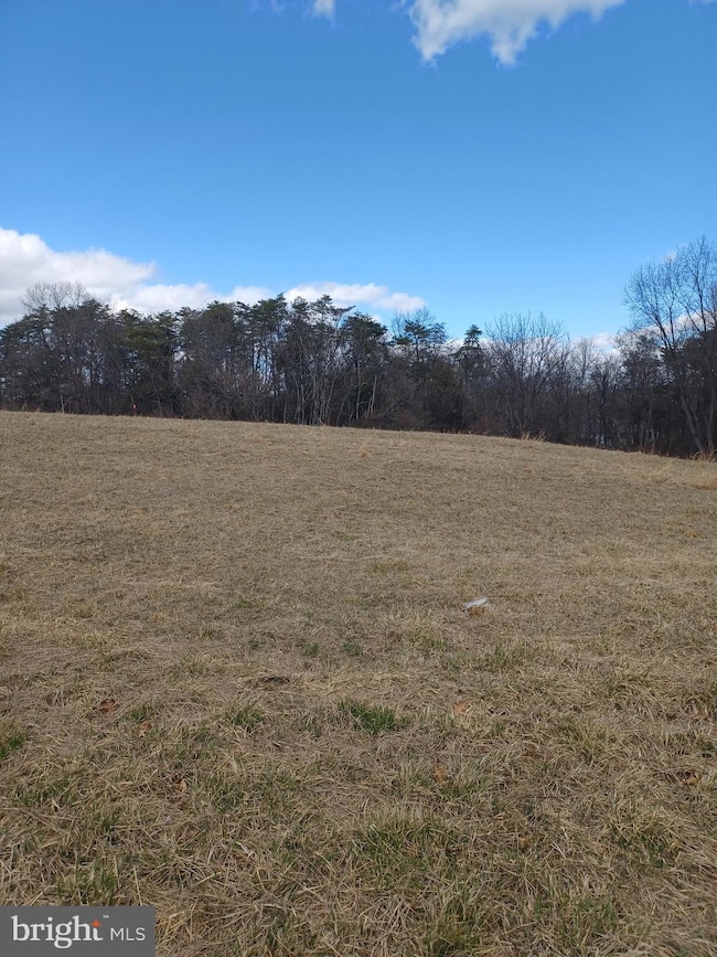Lot B2 Nadenbousch Ln, Inwood, WV 25428 - photo 2