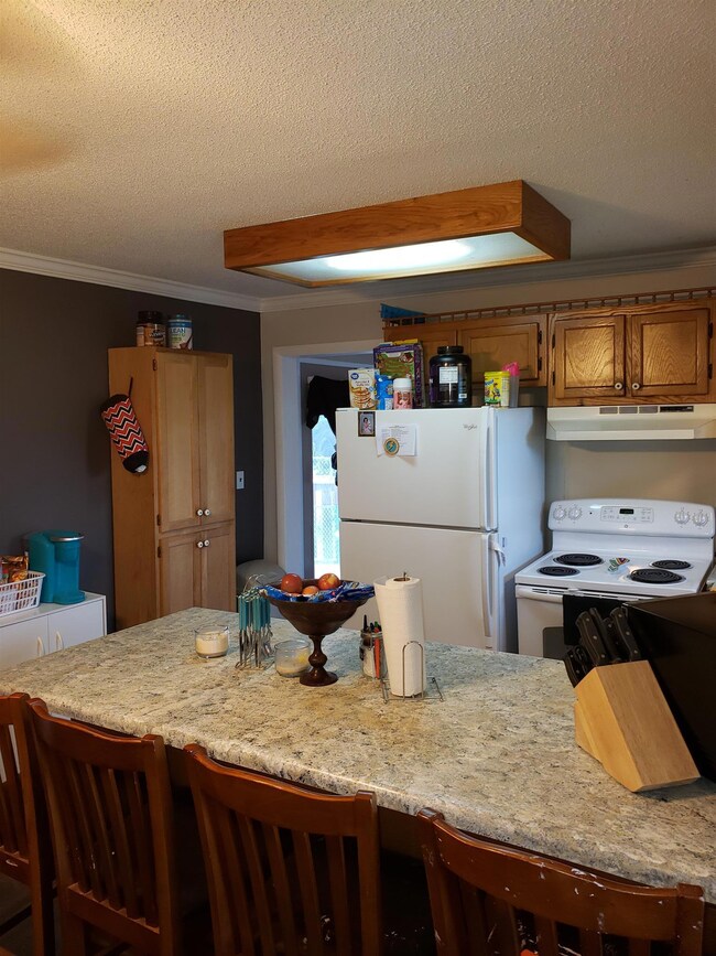 739 Old Seminary Rd, Manchester, TN 37355 - photo 7