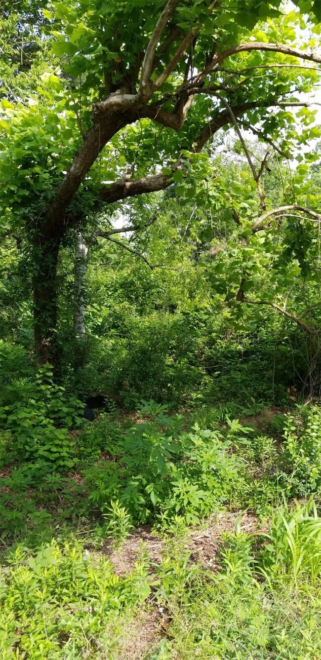 0000 Hoffman, Houston, TX 77028 - photo 3