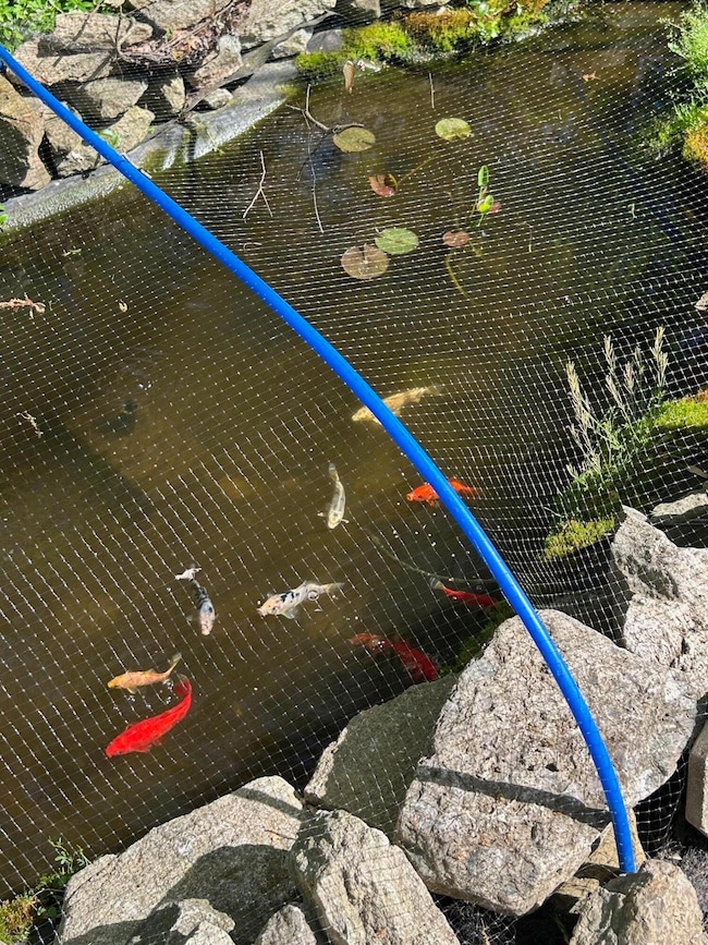 2028 Lucretia St, Dover, KY 41034 - photo 5