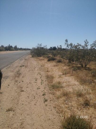 Road
