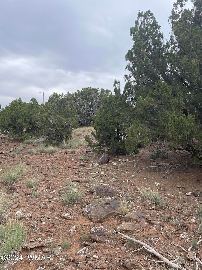 1 Cr 8117, Concho, AZ 85924 - photo 3